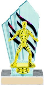 Diamondback Wrestling Trophy