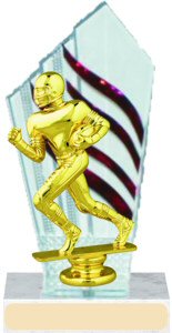 Diamondback Football Trophy