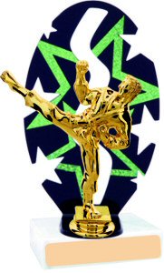 Stars Backdrop Martial Arts Trophy