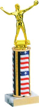 Flag Series Volleyball Trophy