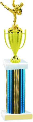 Prism Hologram Wide Column Martial Arts Cup Trophy