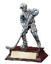 Elite Hockey Player (Male or Female)
