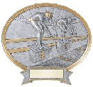 Swimming Oval Resin Plate (Male or Female)